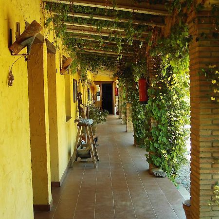 Hotel Rural La Cimbarra Aldeaquemada Eksteriør bilde
