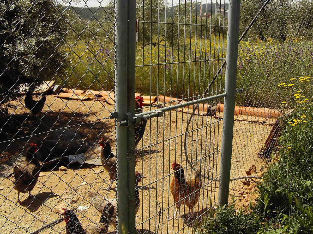 Hotel Rural La Cimbarra Aldeaquemada Eksteriør bilde