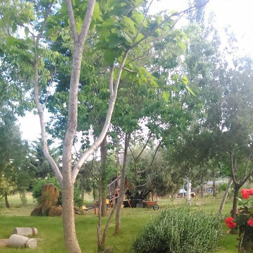 Hotel Rural La Cimbarra Aldeaquemada Eksteriør bilde